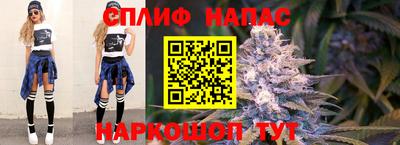 mdpv Краснознаменск