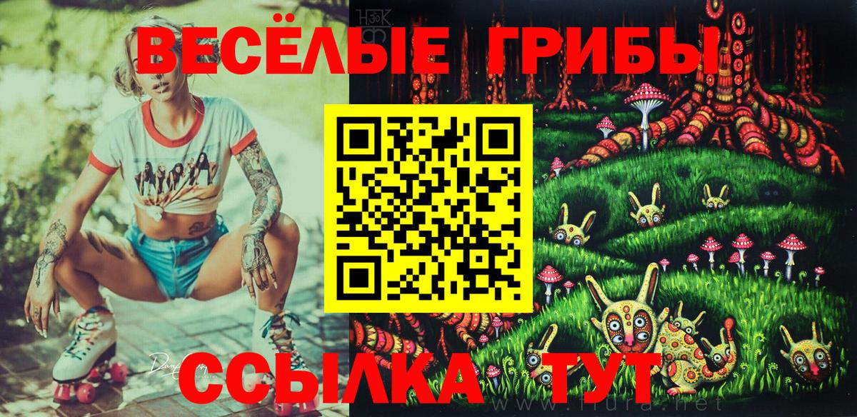 Йошкар-Ола  Галлюциногенные грибы мухоморы  Галлюциногенные грибы Magic Shrooms  Вход с VPN 